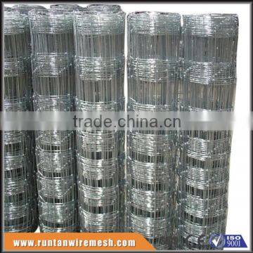 Anping Factory hot dip galvanized sheep wire mesh fence (ISO9001,Since 1989)