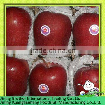 18kg carton apple huaniu