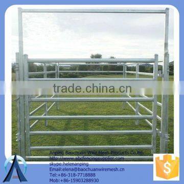 Dimensions: 2100mm x 800mm sheep panels /horse panels /cattle panels