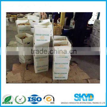 Fresh Ginger Shipping Boxes pp Corrugated Plastic Sheets