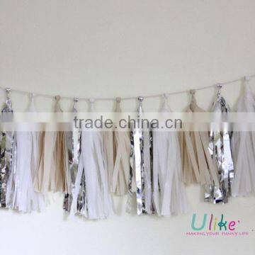 Diy Tassel Garland tissue paper tassel garland