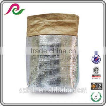 Recyclable Waterproof Insulated Foil Lining Tyvek Paper Bag