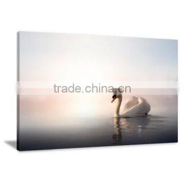 Amazing Art Swan Giclee Printing Canvas Painting Picture Livingroom Decor DWYS79