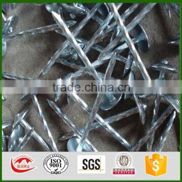 Umbrella head twist shank roofing nails