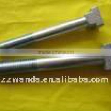 High Quality Fastener Stainless Steel T Head Bolts