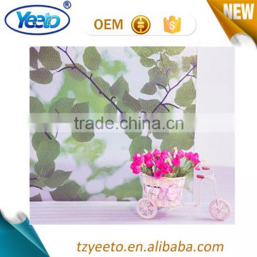 Color Printing Self Adhesive 3D PVC Glass Film