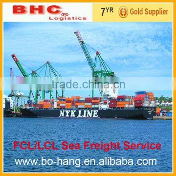 Shenzhen large Freight Agents arrange sea shipping from china port to Port Norfolk DDP DDU service