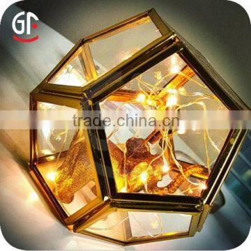 China Party Items 2M 40LEDs Copper Wire Light 2016 Europe Market