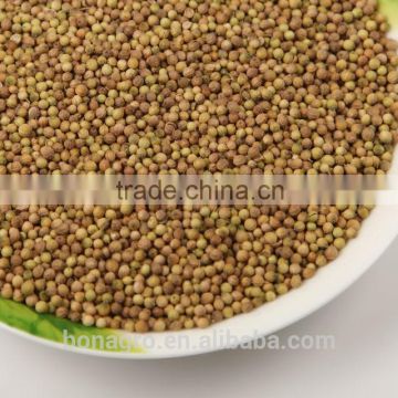 coriander seeds