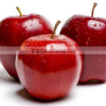 fresh apple for sales grade A