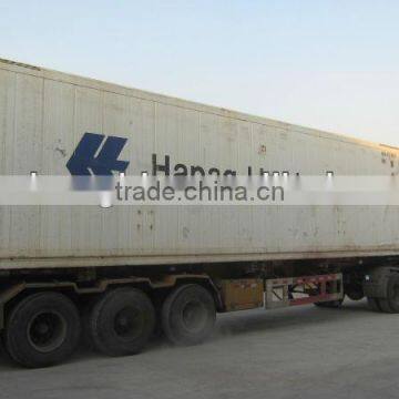 Frozen Tilapia Fillet Price for Sale photo-5