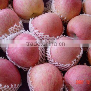 Greenfarm Fresh red fuji apple in Shandong,China