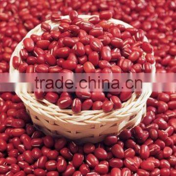 Red Kidney Beans for Hot Sale and With Free Sample for Sale photo-5