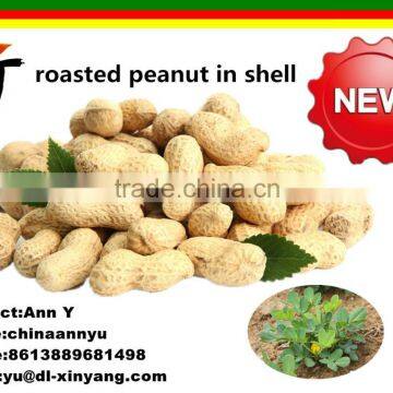Good Salted Roasted Peanut in Shell photo-5