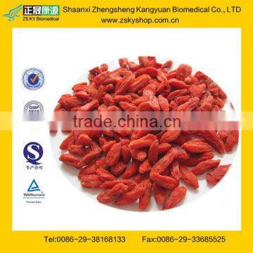 GMP Certified Manufacturer Supply Dry Goji Berry