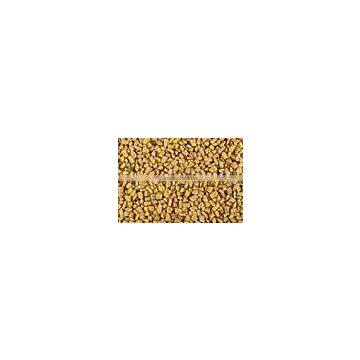 Fenugreek Seeds