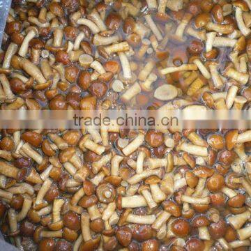 Canned Nameko Mushroom