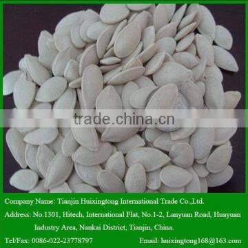 Chinese Roasted and Salted Pumpkin Seeds for sale