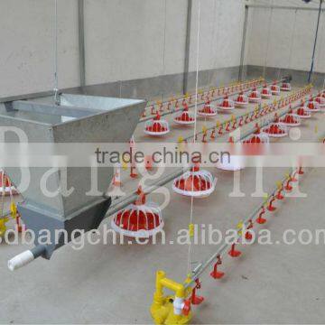 Poultry Automatic Feeding System