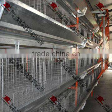 H-Type Automatic Pullet Equipment