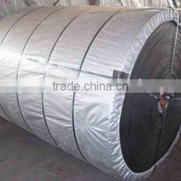 Polyester conveyor belts