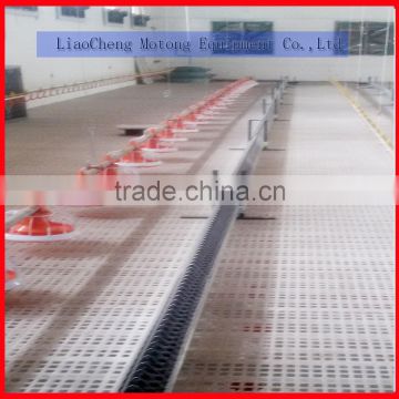 chicken breeding equipment