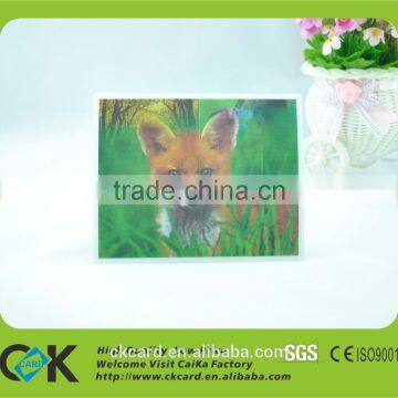 Eco-friendly Pvc!Printing Skip Type Lenticular 3d Effect Card From Gold Supplier photo-6