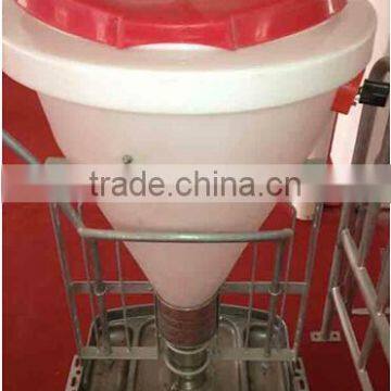 Dry Wet Feeder for Pig Use photo-2