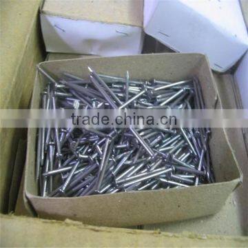 Polished & Galvanized Common Nail / Wire Nails / Steel Nails photo-2