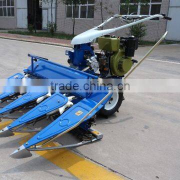 2016 Big Promotion Rice Cutting Machine photo-3