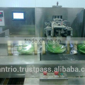 Iceberg salad packaging machine