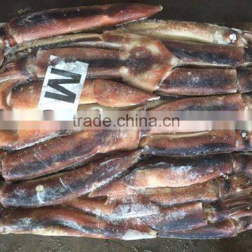 2017 New Arrive Frozen Argentina Illex Squid photo-2