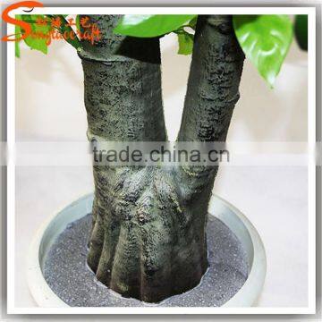 Realistic Mini Bonsai Tree Bonsai Plants for Sale photo-4