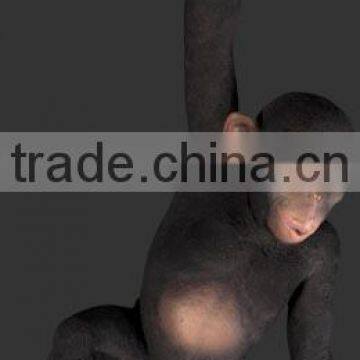 Hanging Monkey