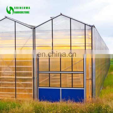 Anti-drop PC Sheet Polycarbonate Greenhouse Covering