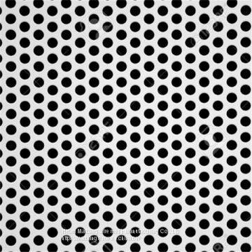 Galvanized Steel Perforated Metal Mesh/Perforated Sheet/Aluminum Punch Plate