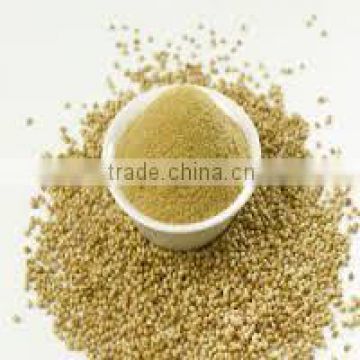 organic Coriander seed exporters