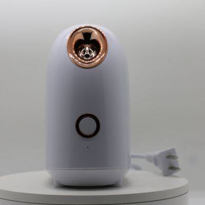 Facial Humidifier Vaporizer Beauty Skin Care Portable Facial Steamer Home Use  Face Deep Cleaning Ionic Facial Sauna