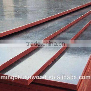 Black/brown/red Film Faced Plywood for Concrete Shuttering Black Film Faced Plywood photo-2