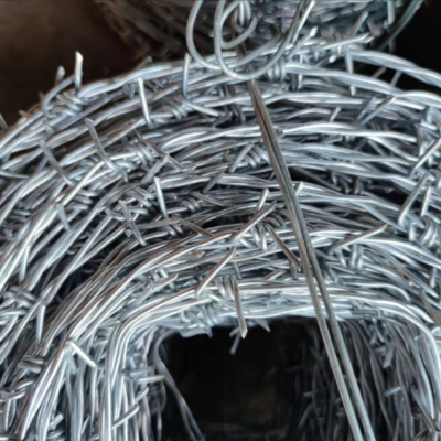 Verzinkte Eisen-Drahtklinge mit Stacheldrahtspule für Gefängniszaun-Schutz, Eisenbahn-Konzertrasierspule photo-4