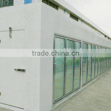 Cold room glass door,cold warehouse glass door