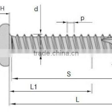 Reliable and High Quality Flat Square Head Self Tapping Screw for Industrial Use Made in Japan photo-6