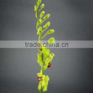 High grade manufacture flowers orchids