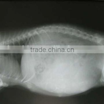 medical x-ray film of alibaba+cina, fuji x-ray film of alibaba supplier