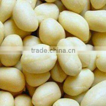 Chinese best price blanched peanut kernels