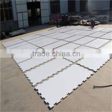 Indoor Hockey Flooring/the Rinks Ice Skating/floor Ball photo-6