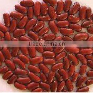 Dark red kidney beans