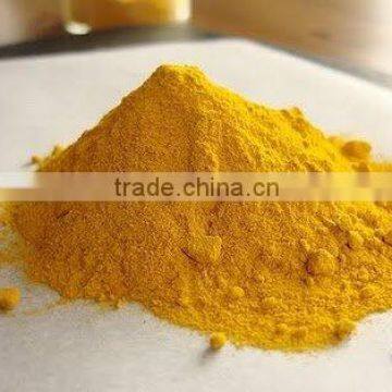 Indian Turmeric Powder