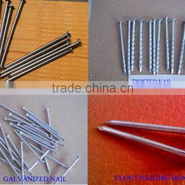 common round iron nail