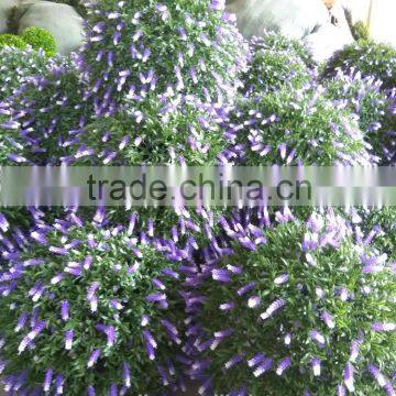 China Wholesale High Quality Artificial Grass Ball Artificial Boxwood Ball for Decoration photo-4